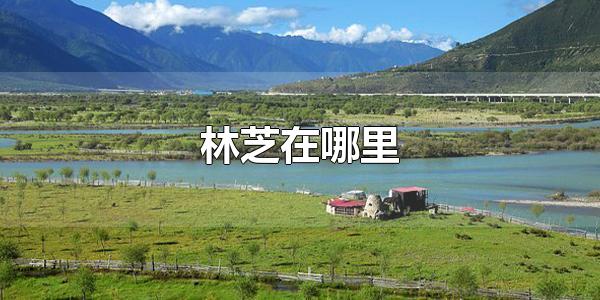 林芝在哪里 林芝属于哪里