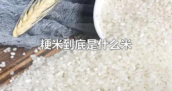 粳米到底是什么米 粳米要怎么挑选