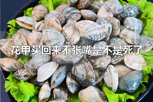 花甲买回来不张嘴是不是死了 花甲买回来不张嘴不一定是死了