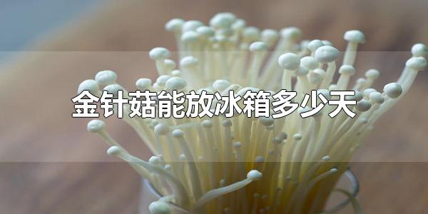 金针菇能放冰箱多少天 金针菇能放冰箱3-5天左右