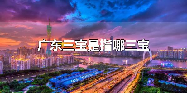 广东三宝是指哪三宝 广东特产有哪些