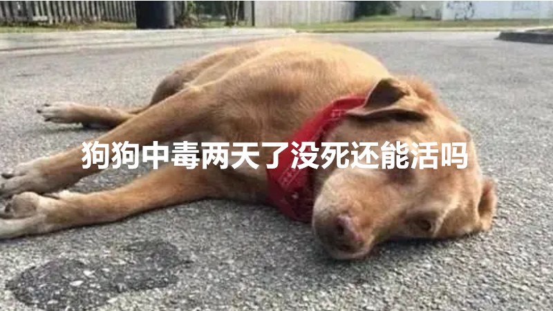 狗狗中毒两天了没死还能活吗