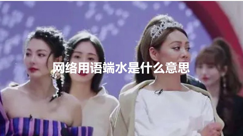 网络用语端水是什么意思