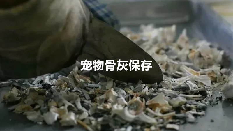 宠物骨灰保存怎么做？需要注意什么