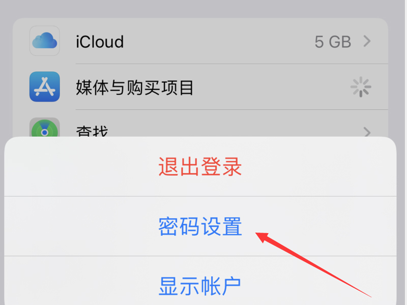 如何设置下载app需要密码