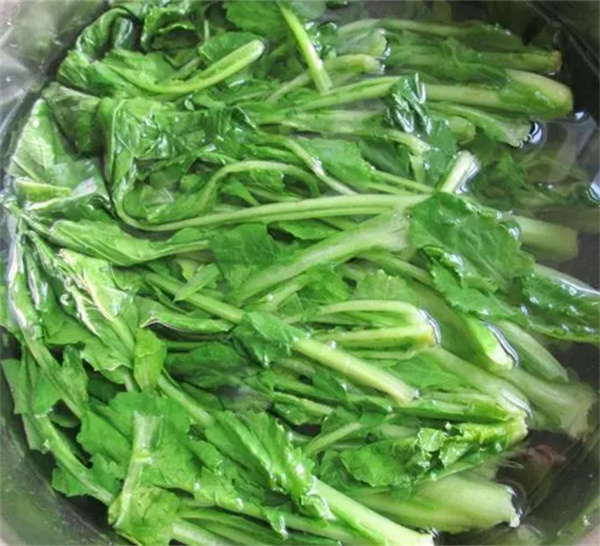 苔菜为什么吃前要焯一下水 焯水是为了去除有害物质