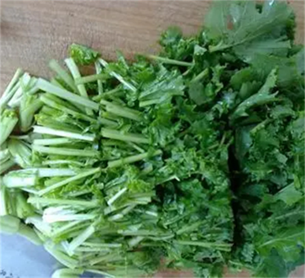 苔菜为什么吃前要焯一下水 焯水是为了去除有害物质