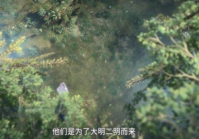斗罗大陆208全集免费观看完整版 斗罗大陆208集在线观看 斗罗大陆208集在线观看完整版