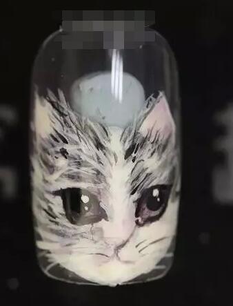 小猫咪美甲 美甲彩绘猫咪教程
