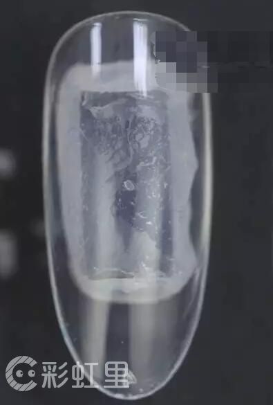清新淡雅美甲 海底大贝壳美甲教程