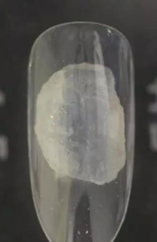 树叶桃形美甲 简约树叶美甲教程