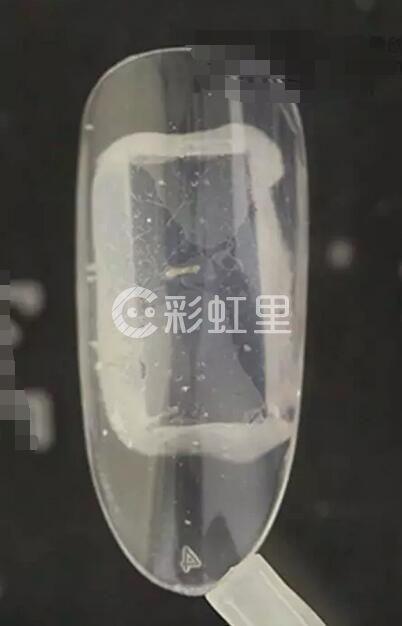 孔雀纹美甲 个性美甲教程