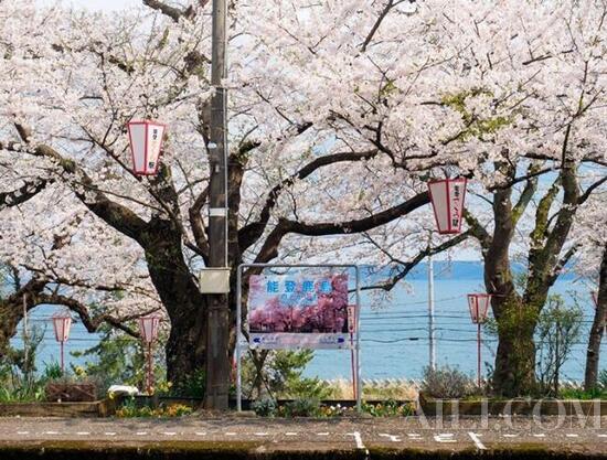 放弃购物之旅吧 想去日本“赶个海”
