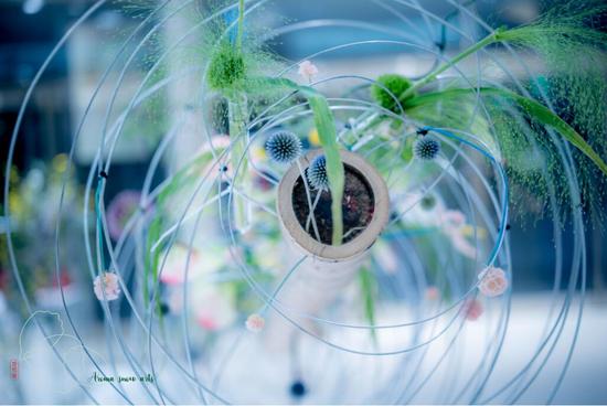 7月仲夏 不可错过的新国贸饭店《夏慕风华》艺术展