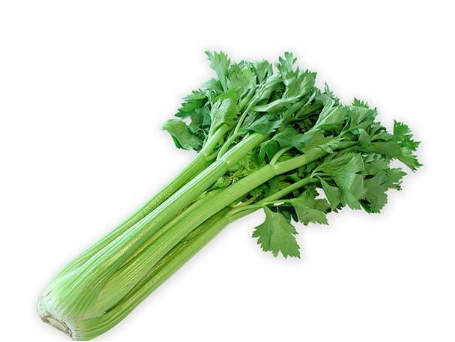 吸脂的食物都有哪些？这12种越吃越瘦