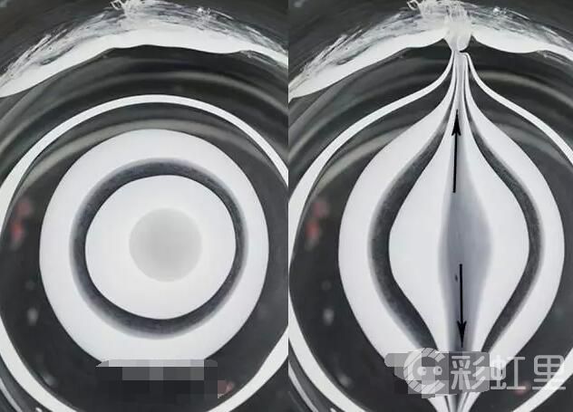 美甲水染花 秋季水染美甲教程
