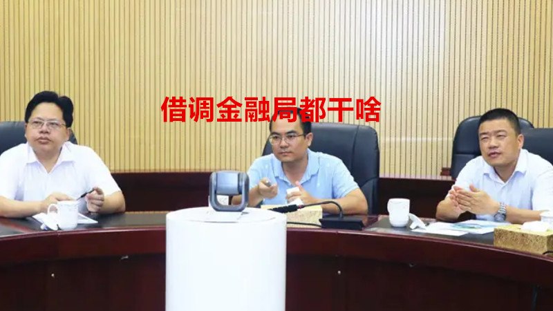 借调金融局都干啥