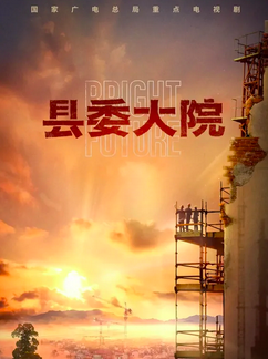 电视剧《县委大院》剧情介绍之后在哪个台播放？