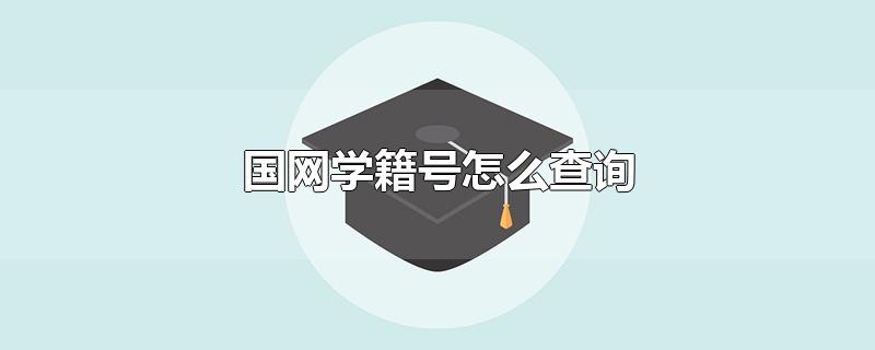 国网学籍号怎么查询