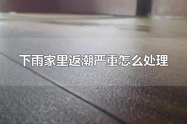 下雨家里返潮严重怎么处理 什么是返潮