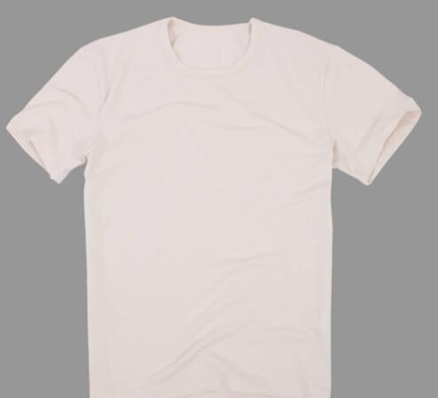 shirt是什么意思