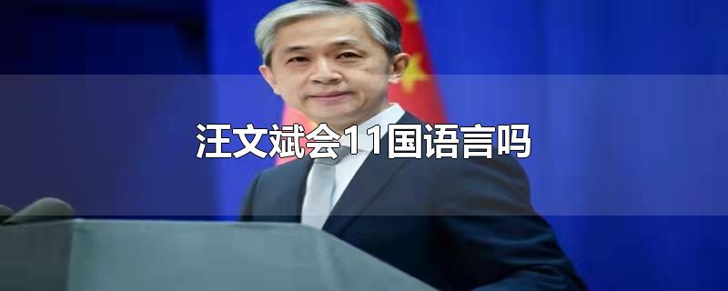 汪文斌会11国语言吗
