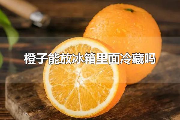 橙子能放冰箱里面冷藏吗 橙子的营养价值