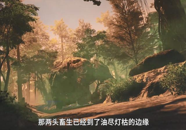 斗罗大陆209全集免费观看完整版 斗罗大陆209集在线观看 斗罗大陆209集在线观看完整版