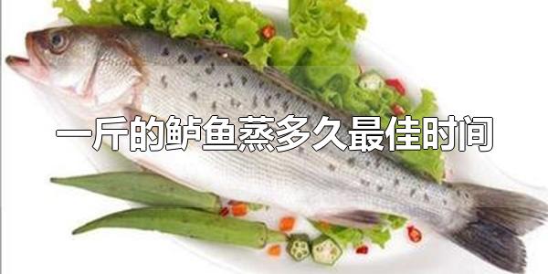 一斤的鲈鱼蒸多久最佳时间 鲈鱼为什么叫花鲈