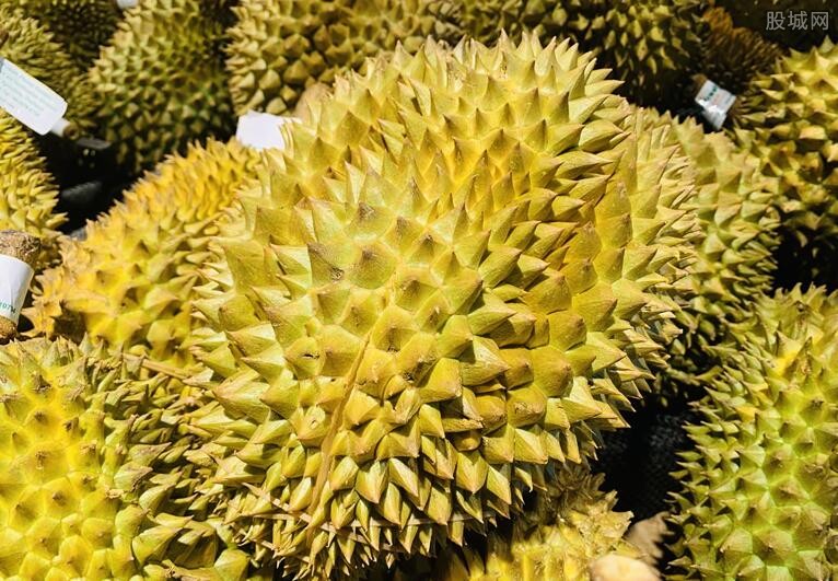 榴莲价格表
