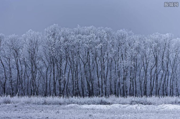 暴风雪