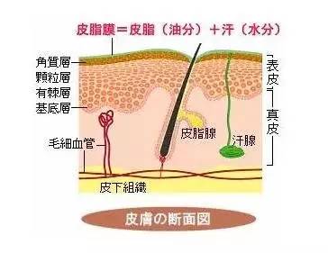 谣言：冷热水交替洗脸的好处，可以收缩毛孔？