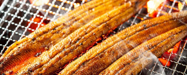 冷冻鳗鱼的做法大全 冷冻鳗鱼的烹饪方法