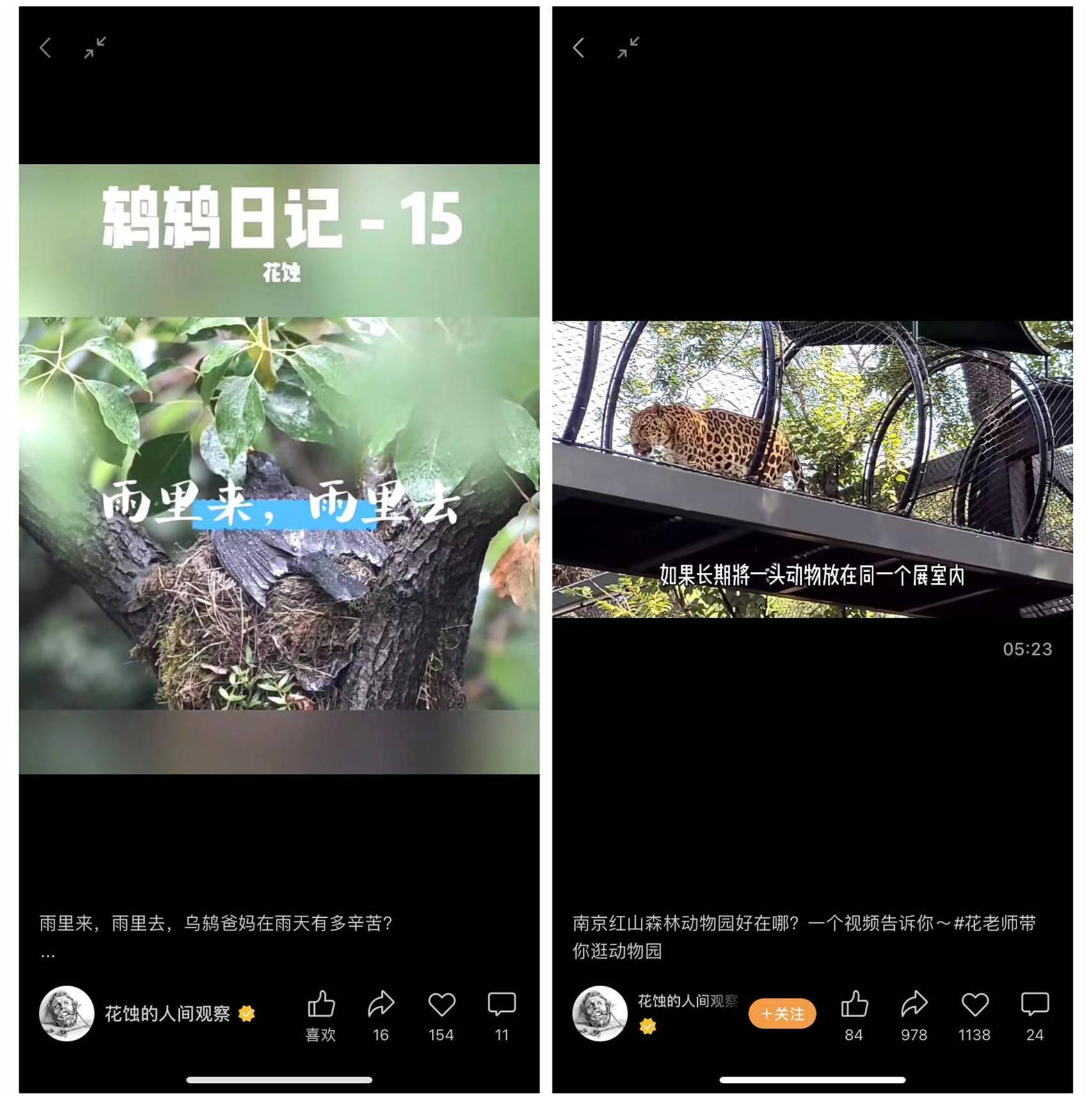 522国际生物多样性日，微信视频号携手众多创作者共倡生物保护