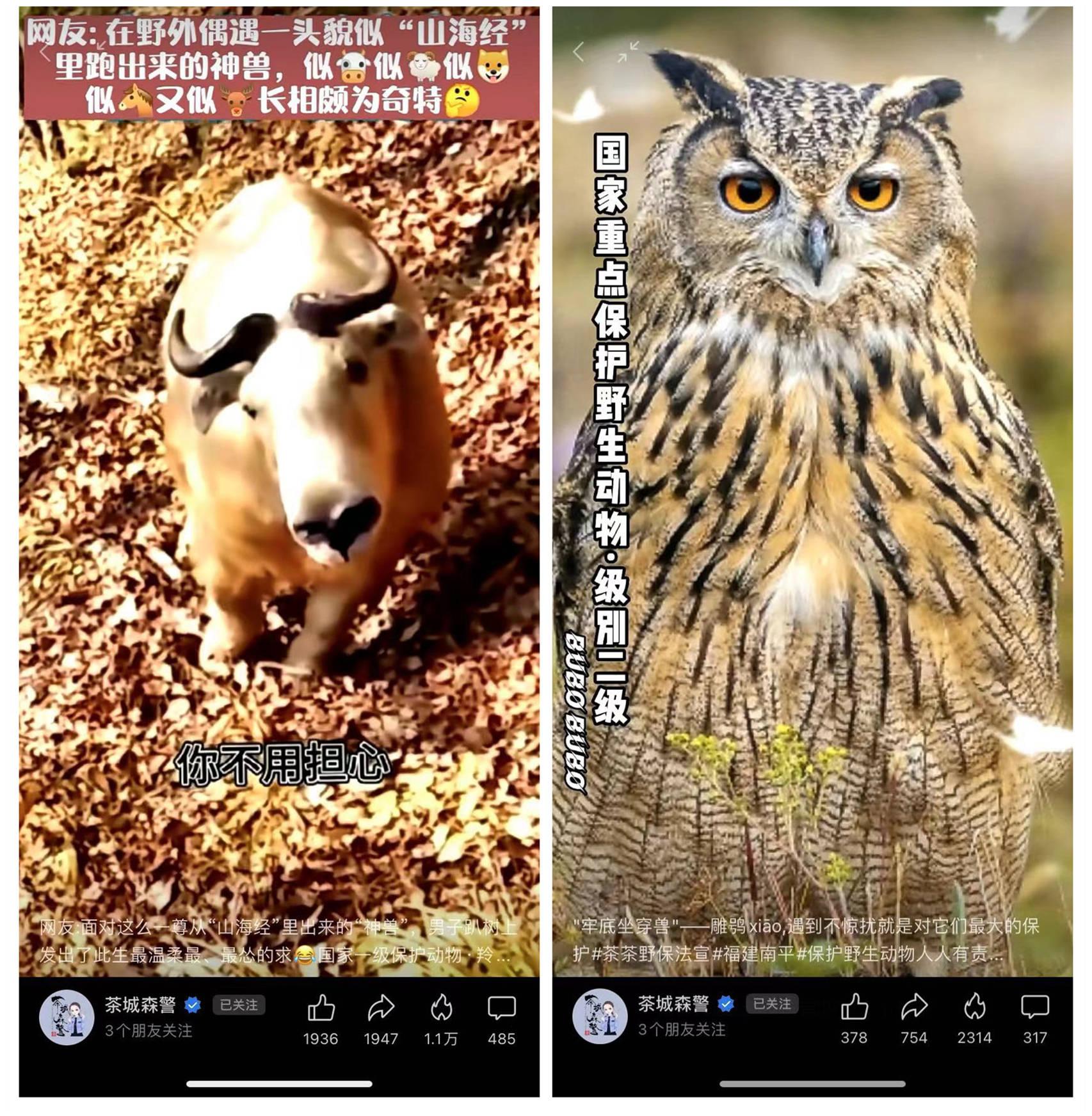 522国际生物多样性日，微信视频号携手众多创作者共倡生物保护