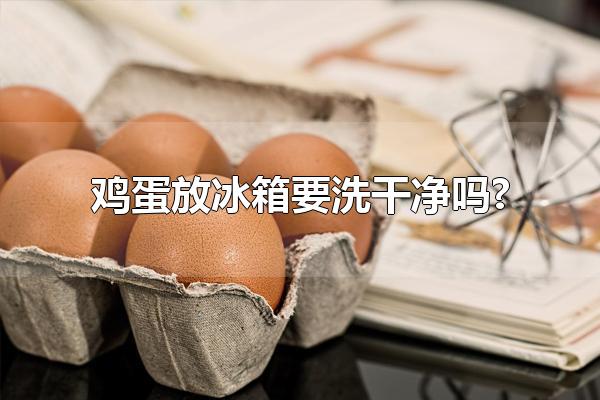 鸡蛋放冰箱要洗干净吗? 鸡蛋不需要洗净才放进冰箱