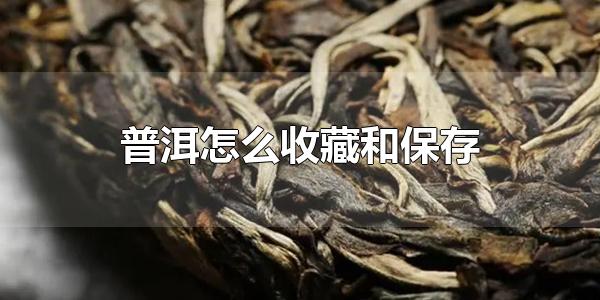 普洱怎么收藏和保存 普洱茶保存时间有多长