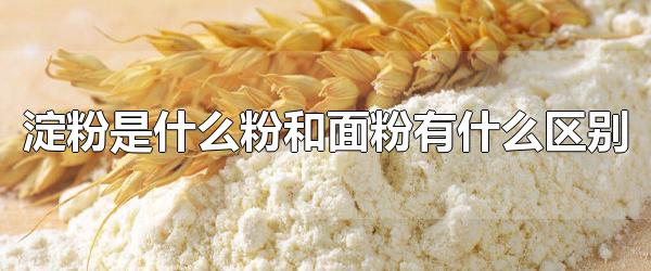 淀粉是什么粉和面粉有什么区别 淀粉的种类有哪些