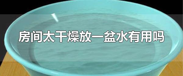 房间太干燥放一盆水有用吗 室内干燥可以养什么花