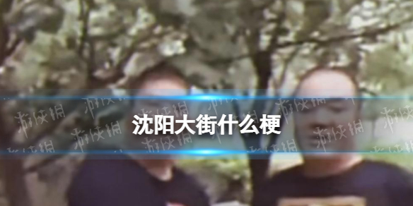 沈阳大街什么梗 你根本不在沈阳大街什么梗 沈阳大街梗介绍
