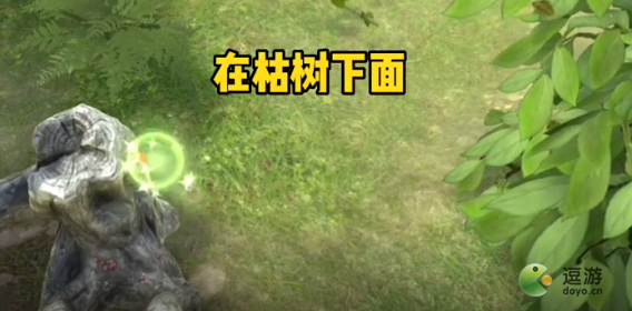 夺笋高手隐藏彩蛋触发方法大全 夺笋高手隐藏彩蛋怎么触发