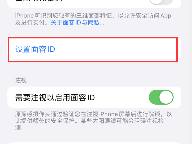 iphone面容设置不了