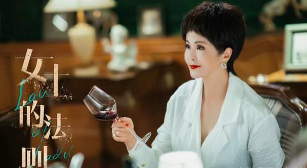电视剧《女士的法则》方璞的扮演者是谁？女士的法则陈染的母亲是谁演的