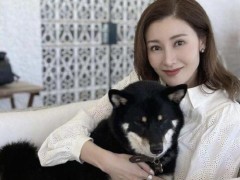 51岁李嘉欣分享P图前后对比自拍 网友赞“都好美”