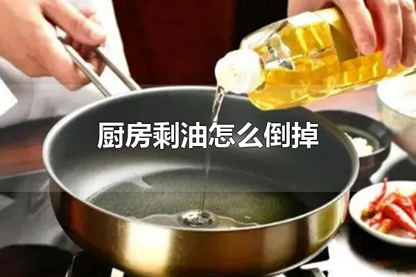 厨房剩油怎么倒掉 油炸食品的危害