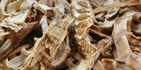 竹笋怎么晒笋干最简单 笋干怎么保存