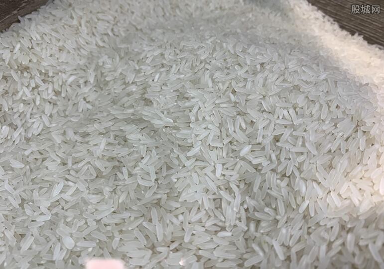 大米价格