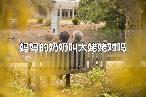 妈妈的奶奶叫太姥姥对吗 正式称谓是外曾祖母