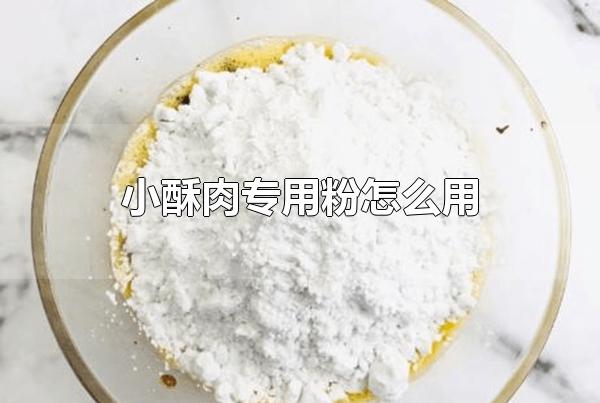 小酥肉专用粉怎么用 用它做小酥肉简单便捷