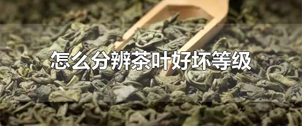 怎么分辨茶叶好坏等级 茶叶的种类分为哪些